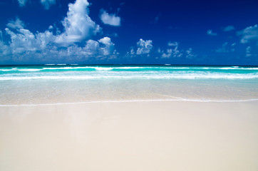 Fototapeta premium tropical sea