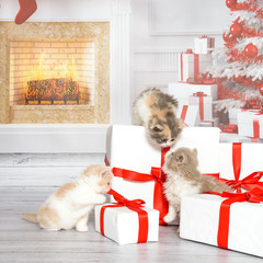 Drei niedliche Katzenbabys erkunden einen Stapel Geschenke in einem weihnachtlichen Wohnzimmer mit Tannenbaum und Kamin. - 128589441