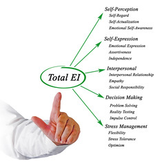 Total emotional intelligence