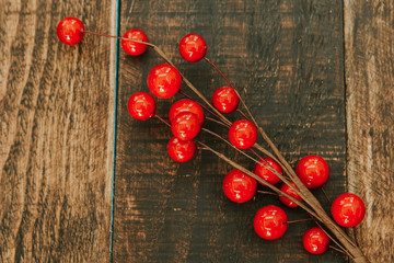 Christmas branch with red fruits