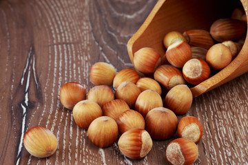 the handful of hazelnuts