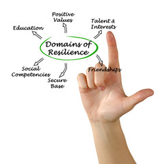 Domains of resilience