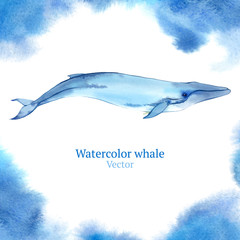 Vector watercolor whale