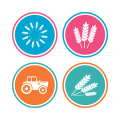 Agricultural icons. Wheat corn or Gluten free signs symbols. Tractor machinery. Colored circle buttons. Vector
