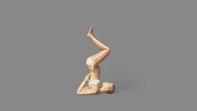 Yoga Shoulder Stand Pose Of A Female With Visible Skeleton + Alpha