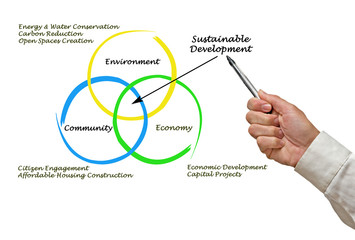 Diagram of sustainable development