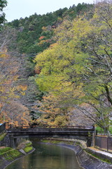 Fototapeta na wymiar Japanese autumn