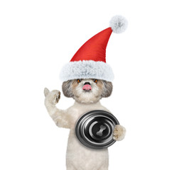 Cute santa dog wants to eat