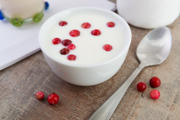 Yogurt in a bowl with cranberries
