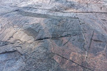 Ancient petroglyphs (rock engravings of 4th-2nd millennia BC) that depict duck, swan and deer carved on granite Onega Lake shore. Besov Nos cape, Karelia Republic, Russia.
