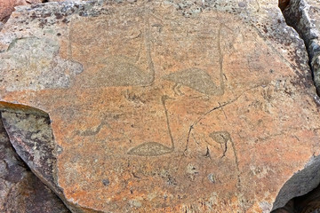 Ancient petroglyphs (rock engravings of 4th-2nd millennia BC) that depict duck and swan carved on granite Onega Lake shore. Besov Nos cape, Karelia Republic, Russia.
