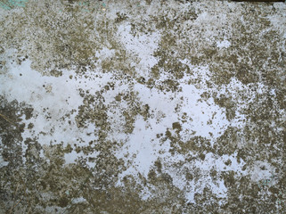 ラフにペイントされた古い壁