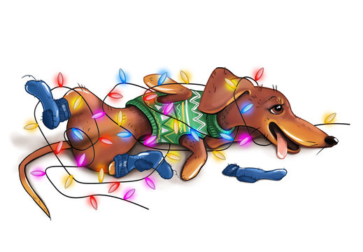 dachshund illustration