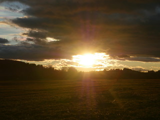 Obraz na płótnie Canvas sunset meadow