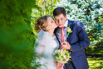 beautiful bride kisses the groom on the cheek on background of large green bushes
