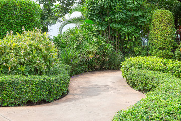 Stone walkway In Garden