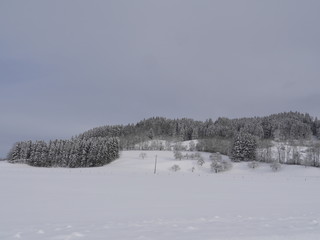 winter landscape
