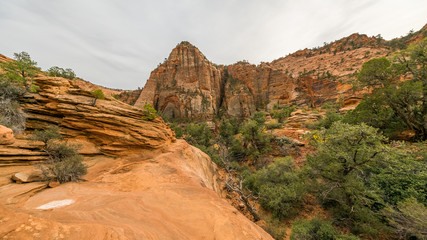 Amazing mountain landscape. Breathtaking view of the canyon. Zion National Park, Utah, USA
