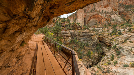 Narrow pathway through the canyon. Scenic view of the canyon. Zion National Park, Utah, USA