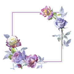 Wildflower rose flower frame in a watercolor style isolated.