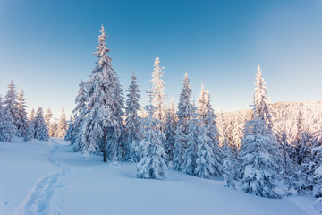 Fototapeta premium Fantastic wintry landscape