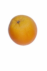 Valencia orange fruit