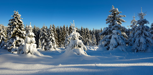 Tief verschneite unberührte Winterlandschaft, schneebedeckte Tannen, funkelnde Schneekristalle