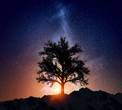 Starry night and tree . Mixed media
