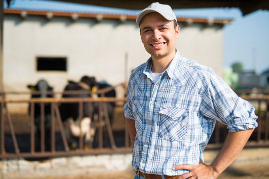 Breeder In Front Of His Cows