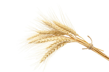 Sheaf of wheat ears on white background.
