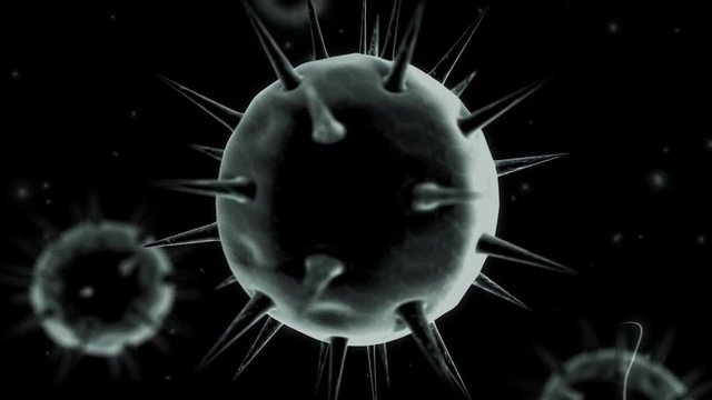 Close-Up Virus And Bacteria Animation