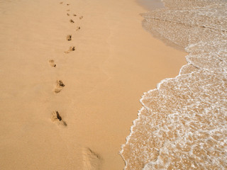 Footprint in and on seashore. The concept on beach vacation in tropics. Sunny tan and relax.