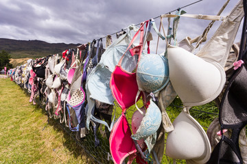lots of bra hangs on the fence in New Zealand