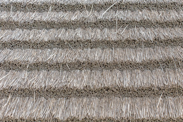  couverture de chaume sur toit de mas camarguais 
