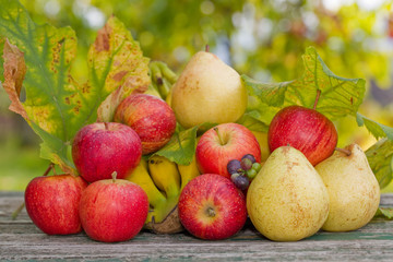fruits outdoor
