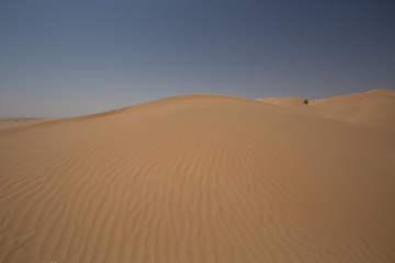 Fototapeta na wymiar Sandwüste