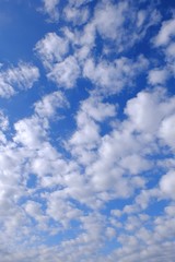 Obraz premium 鱗雲の背景イメージ