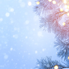 Fototapeta na wymiar Snow Christmas tree and holidays light; Blue Christmas tree back