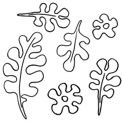Vector abstract illustration with leaves. Curly shapes leaves and flowers in black and white outlines