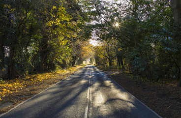 Obraz premium View of an empty country lane on an autumn morning with sun flare peeking through the trees - version 2