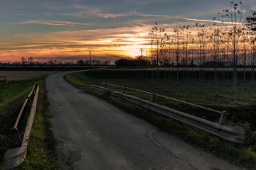 Obraz na płótnie Canvas sunset road in the countryside
