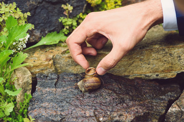 Groom Putting Rings on Snail