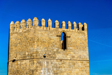 Tower of San Martin bridge in Toledo, Spain © Leonid Andronov