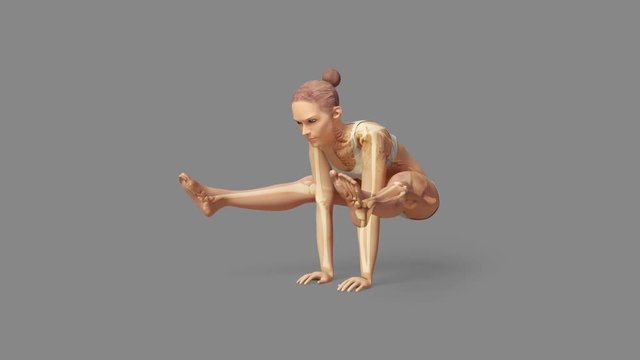 Yoga Firefly Pose Of Stretching Female With Visible Skeleton + Alpha
