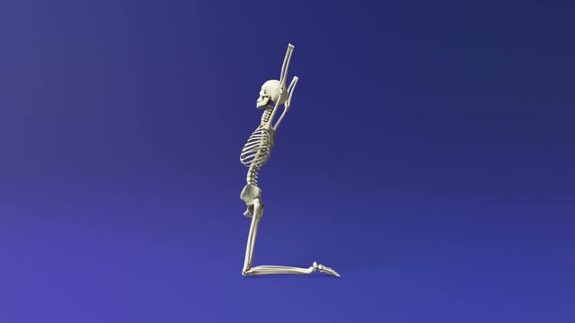 Yoga Camel Pose Of Human Skeletal