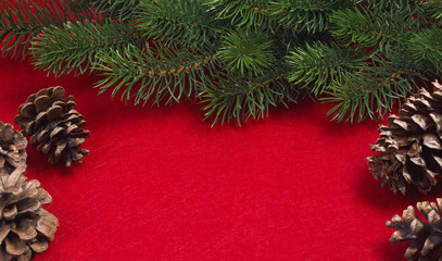 Obraz na płótnie Canvas Fir branch and pine cones on a red background. Template for Christmas card