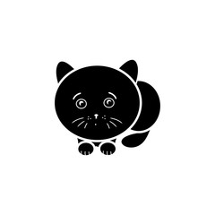 Obraz premium Black kitten abstraction