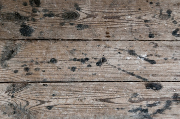 Wood texture