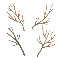 Watercolor tree branch isolated on white background