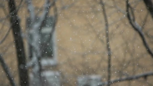 Snowfall with a lot of large snowflakes on a yellow wall background with a window and a trees at the building (1080p; 1/2 real speed, 25 fsp)